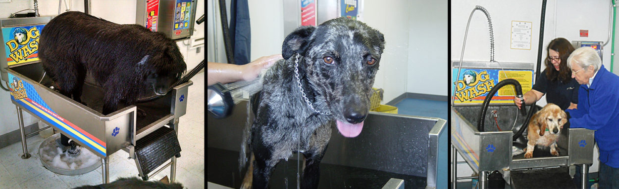 easy dog wash