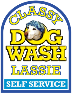 Classy Lassie Logo